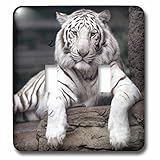 3dRose LLC lsp_88641_2 White Tiger at The Sacramento Zoo, California Us05 Tau0014 Tananarive Aubert Double Toggle Switch