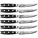 Enso HD 6 Piece Steak Knife Set with Case