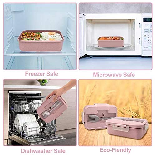 Bento Box for Kids, Leakproof Lunch Box with 3 Compartments, Lunch container safe for kids