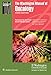 The Washington Manual of Oncology