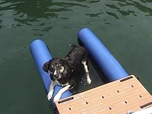 cylindrical fish tank