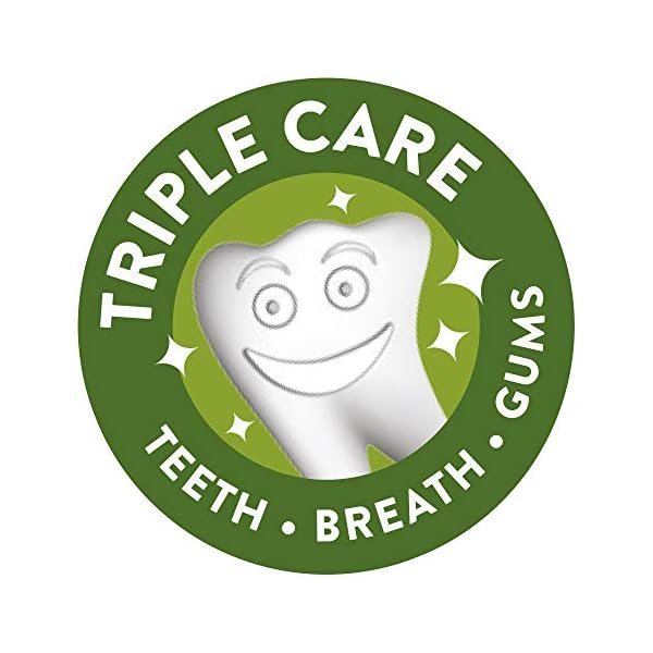 Whimzees-Natural-Dental-Dog-Chews-Long-lasting-Variety-Box-Mixed-Shapes-Medium-28-Pieces WHIMZEES By Wellness Variety Box, Mixed Shapes, Natural and Grain-Free Dog Chews, Dog Dental Sticks for Medium Breeds…