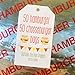 Printed Foil Hamburger and Cheeseburger Bags - 50 Each - Silver Red Yellow