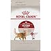 Royal Canin Adult Fit & Active Dry Adult Cat Food, 15 lb bag
