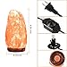 Himalayan Salt Lamp PULNDA Glow Natural Hand Carved Rock Salt Lamp with Neem Wood Base/Bulb and Dimmer Control, Crystal, Amber, 6-7-Inch for Lighting, Decoration and Air Purifying