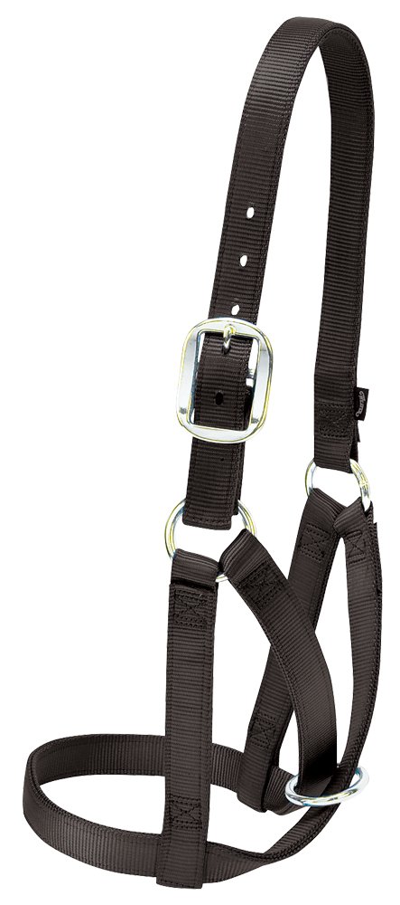 Weaver Leather Livestock Cow Barn Halter Black, Large