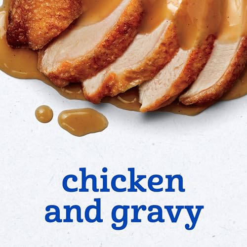 GERBER CHICKEN AND GRAVY BABY FOOD, 2.5 OZ (PACK OF 1)
