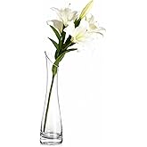 Hand-Made Blown Art Bud Glass Flower Vase Oblique Mouth Single Bud Vase Heavy Base Single Stem Flower Drop Vase for Flower and Office Bud Home Wedding Decor (Transparent -23cm)