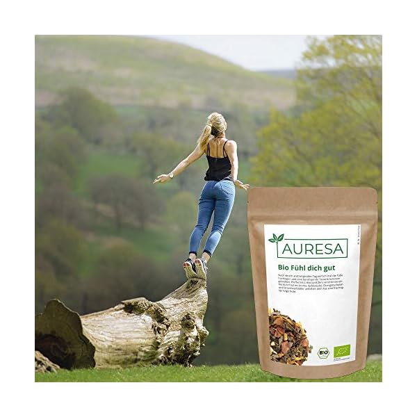 AURESA Ayurveda Tee Bio Fühl dich gut | Gute Laune Kräutertee mit fruchtigen, würzigen und wärmenden Aromen | Tri-Dosha – Bild 4