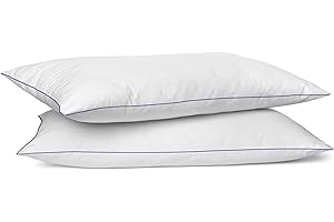 SILUI Flat Soft Thin Pillows Queen Size Set of 2 Pack Bed Pillow with Down Alternative Fill for Side Back Stomach Sleepers, 2