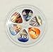 Assorted Premium Guitar Picks in 12 Pack with 6 Incredible Designs Featuring Burning Man Playa Images - Medium Gauge (.71mm) Celluloid - Best for All Skill Levels Kids & Adults - Makes a Cool Gift!