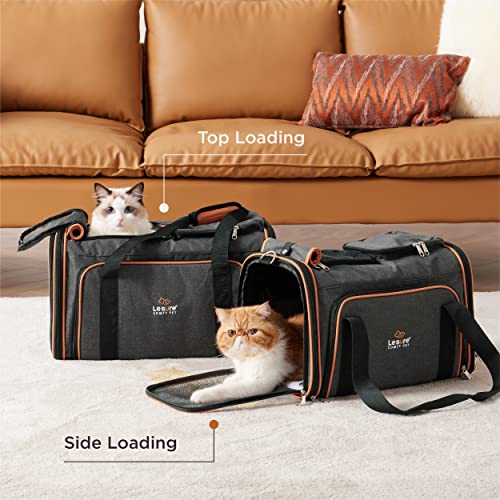 Lesure TSA Airline Approved Cat Carrier Expandable Pet Carrier, Travel Pet Carriers for Small