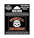 Harley-Davidson Reflective Decal, Willie G. Skull, X-Small Size RD1199641