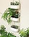 Mkono Ceramic Hanging Planter 3 Tier Indoor Wall Plant Holder for Succulent Herb Air Plant Live or Faux Plants Modern Vertical Garden, Rectangularthumb 2