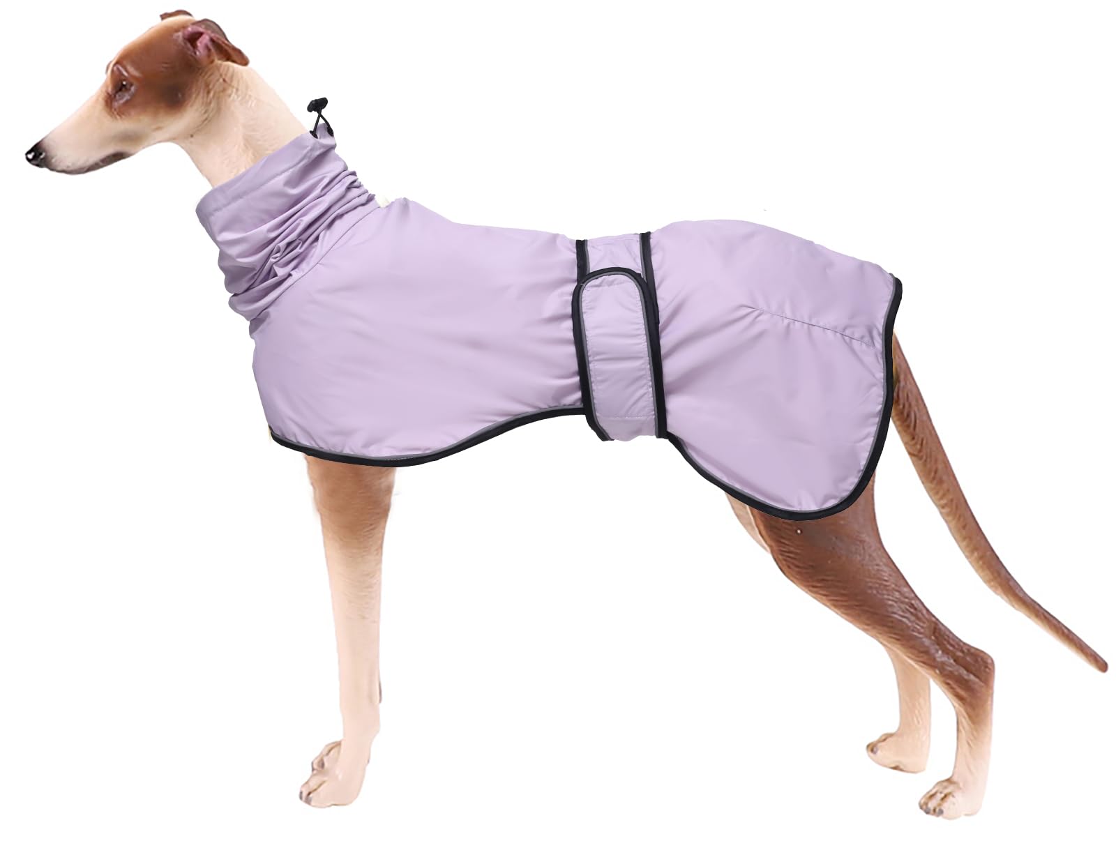 Photo 1 of Dog Raincoat with Reflective Bar, Rain/Water Resistant, Adjustable Vest - Dog Raincoats for Greyhounds, Lurchers and Whippets - Purple - XL