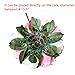 Sziqiqi Pack of 2 Fake Flowers, Silk Rose Flowers, Suit for Wedding/Party Centerpiece Road Lead Flower Rack Decorations, 2 Pieces