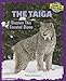 The Taiga: Discover This Forested Biome (Discover the World's Biomes)