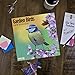 2020 Garden Birds Calendar 16 Month 12 x 12 Wall Calendar by Bright Day Calendars (Bird Calendar Collection) (Garden Birds 2019)