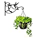 DEWEL Hanging Plant Bracket, Hummingbird Plant Hangers Outdoor Iron Hanging Baskets for Plants Decorative Wall Plant Hooks Brid Feeder Hanger Hook Hangers for Flower Basket Pot Lantern Wind Chime