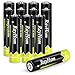 RayHom AAA Rechargeable Batteries 1100mAh Ni-MH Battery (12 Pack)