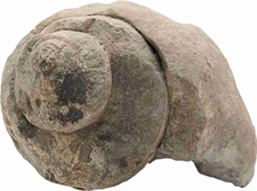 4 Ulysse+ERAS+Life+Excavation+Kit