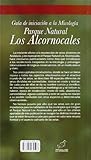 Image de Guía de iniciación a la Micología Parque Natural Los Alcornocales