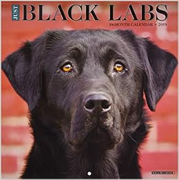 Just Black Labs 2019 Wall Calendar (Dog Breed Calendar), by Willow Creek Press Just Black Labs 2019 Wall Calendar (Dog Breed Calendar), by Willow Creek Press