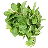 Fresh Mint Leaves (3 oz.)