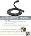 G-Promise High Pressure Shower Head 6 Spray Setting Hand Held Shower Head with Adjustable Solid Brass Shower Arm Mount， Extra Long Flexible Stainless Steel Hose (Oil-Rubbed Bronze)