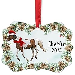 Skewbald Missouri Fox Trotter Horse Christmas