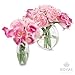 Flower Glass Vase Decorative Centerpiece for Home or Wedding by Royal Imports - Flat Fishbowl Shape, 7.5