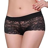 Underwear ,Beautyvan 2016 Fashion 1PC Women Lace Panties Underwear Transparent Comfort Knickers breathable (Black)