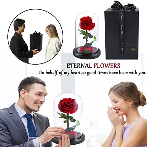 Galaxy Rose Flower Beauty and The Beast Rose Red Rose Infinite Rose