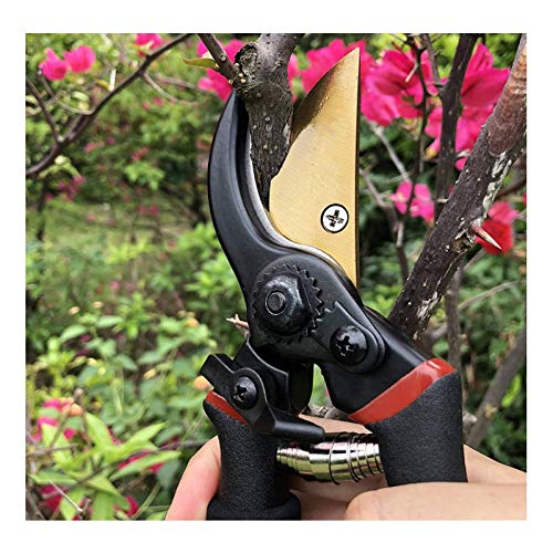 TEOFFECT 8" Professional Titanium Bypass Garden Shears Scissors, Hand Pruners, Garden Clippers, Tree Trimmer, Garden Scissors, Pruning Shears, Yard Hand Clippers