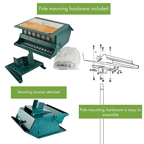 Audubon   Bird's Delight  Squirrel Resistant  Bird Feeder  Model 7511i