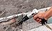 PowRyte Medium Stroke Air Hammer with 4 Chisels