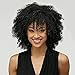 HAIRCUBE Afro Curly Wigs for Black Women Short Kinky Jet Black Heat Resistance Fiber Wigs for Women