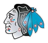 Blackhawks with Chicago Flag Vinyl Sticker 5