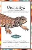 Uromastyx: Plus Other Common Agamids (Advanced Vivarium Systems) by Jerry G. Walls