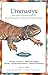 Uromastyx: Plus Other Common Agamids (Advanced Vivarium Systems) by Jerry G. Walls