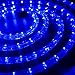 WYZworks 288LEDs, 25ft LED Blue Outside Rope Light, Connectable Outdoor ETL Certified Permanent Waterproof Accent Exterior Lighting, Flexible Clear PVC, ETL Certified, Yard Patio Palm Tree