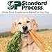 Standard Process Canine Enteric Digestive Support