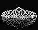 SparklyCrystal Rhinestone Bridal Wedding Prom Crystal Crown Tiara 24326