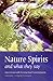 Nature Spirits And What They Say: Interviews With Verena Stael Holstein