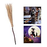PBPBOX Halloween Witch Broom 42