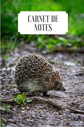 Carnet De Notes Journal Herisson 6x9 Pouces 1 Pages Idee De Cadeau Pour Les Amoureux Des Animaux French Edition Editions Mes Petits Carnets Nature Amazon Com Books