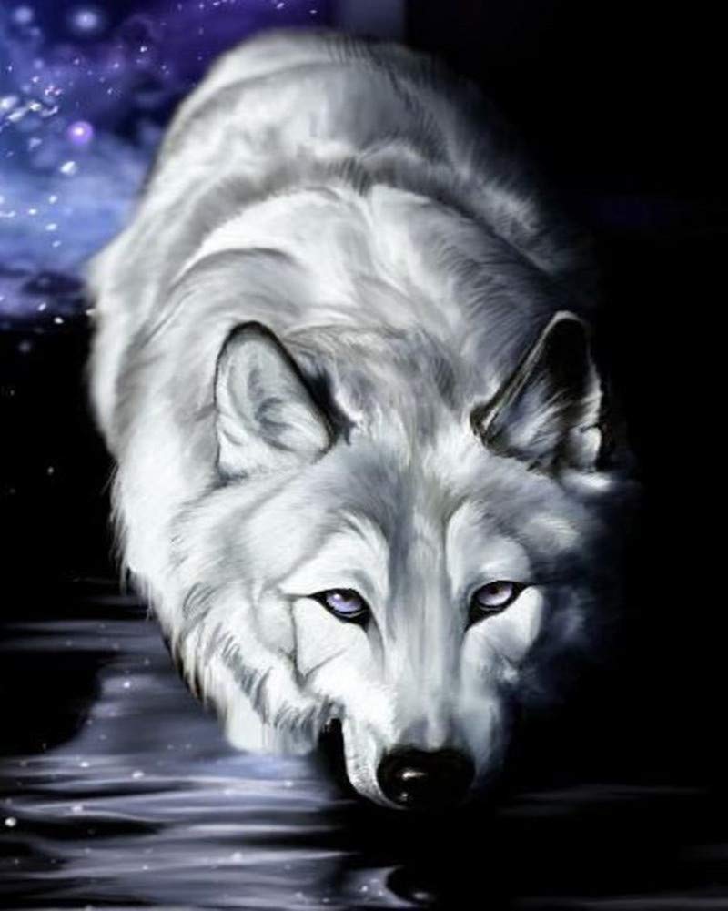 WOWDECOR Paint by Numbers Kits, DIY Oil Painting - White Wolf Animals Night Sky 16x20 inch (Frameless)