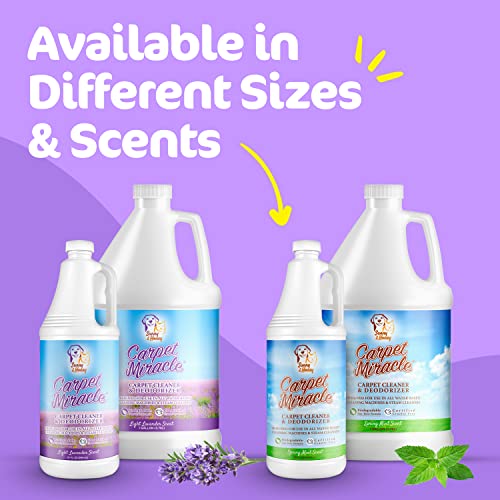 Carpet Miracle Carpet Cleaner Solution Shampoo for Machine Use, Deep