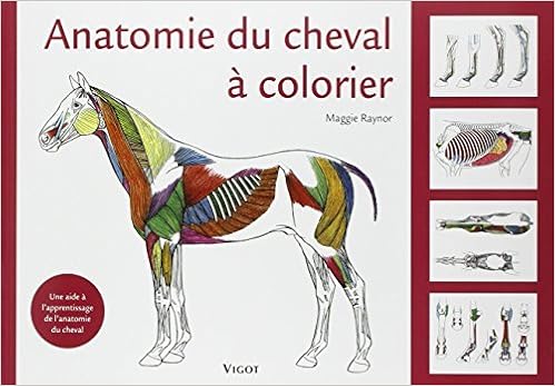 Amazon Fr Anatomie Du Cheval A Colorier Une Aide A L Apprentissage De L Anatomie Du Cheval De Maggie Raynor Celine Mespoulhes Riviere Traduction 13 Mars 2008 Maggie Raynor Celine Mespoulhes Riviere