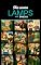 Livro THE SEVEN LAMPS - EPHESUS: The Seven Churches of Revelation (English Edition)